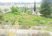 Vil·la amb terreny en venda a la España, Benamaurel, ref.: TR231757 foto