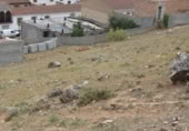 Parcela urbanizable en venta en la España, Alomartes, ref: TR233925 foto