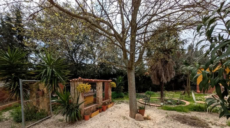 Jaen - Linares - 363m2