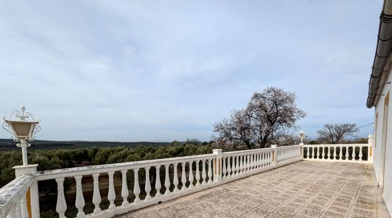 Jaen - Baeza - 9000m2
