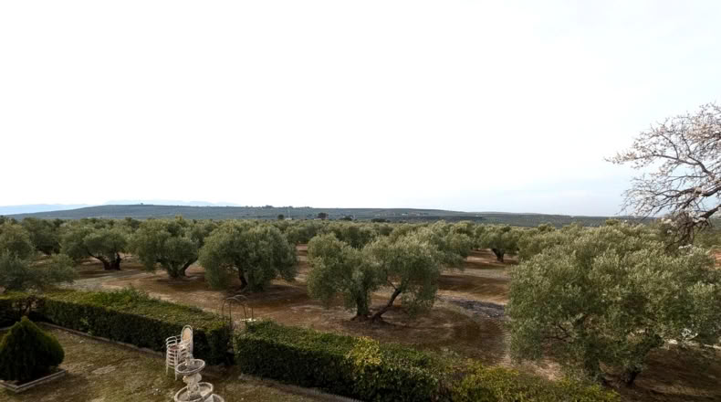 Jaen - Baeza - 9000m2