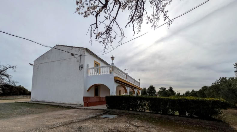 Jaen - Baeza - 9000m2