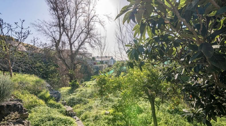 Granada - Molvízar - 2280m2