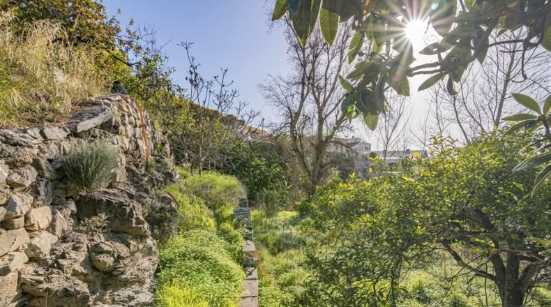 Granada - Molvízar - 2280m2