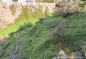 Vil·la amb terreny en venda a la España, Molvízar, ref.: TR230104 foto