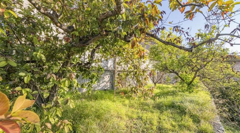 Granada - Molvízar - 2280m2