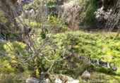 Vil·la amb terreny en venda a la España, Molvízar, ref.: TR230104 foto