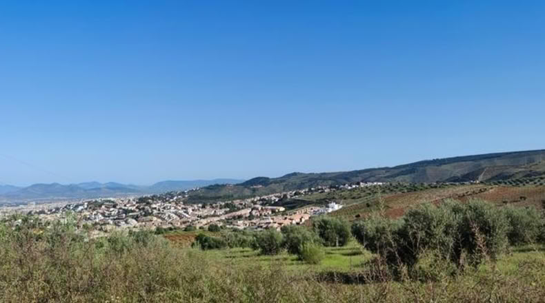 Granada - Huétor Vega - 1284m2