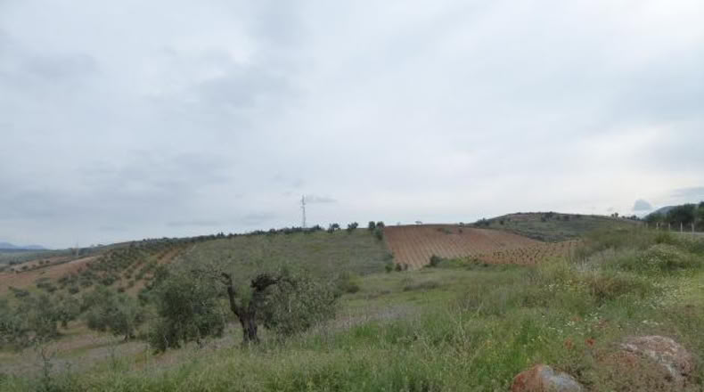 Granada - Huétor Vega - 1284m2