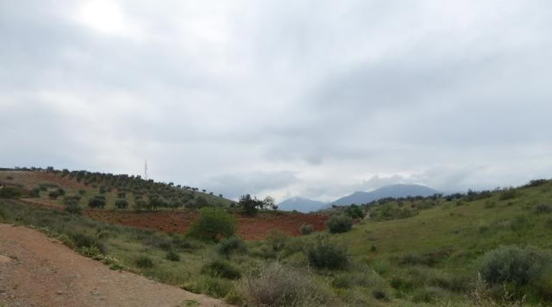 Granada - Huétor Vega - 1284m2