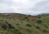 Urban land for sale on España, Huétor Vega, ref: TR216479 photo