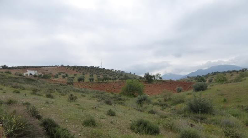 Granada - Huétor Vega - 1284m2