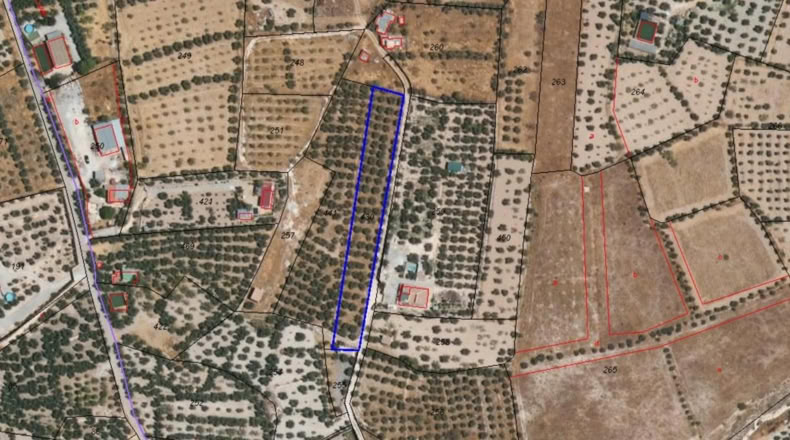 Granada - Baza - 2000m2
