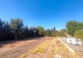 Vil·la amb terreny en venda a la España, Baños de la Encina, ref.: TR185769 foto