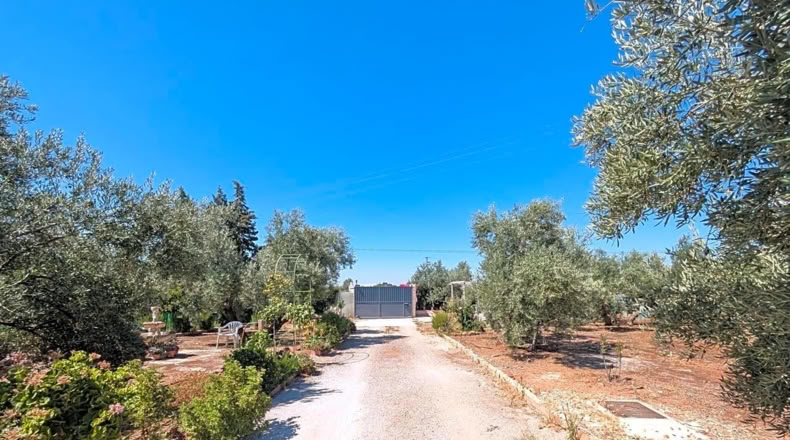 Jaén - Linares - 2491m2