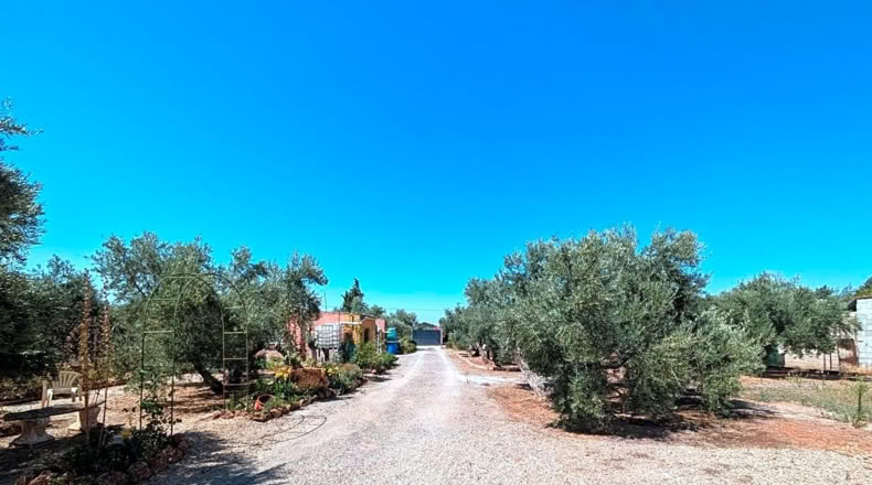 Jaén - Linares - 2491m2