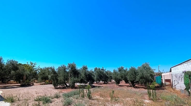 Jaén - Linares - 2491m2