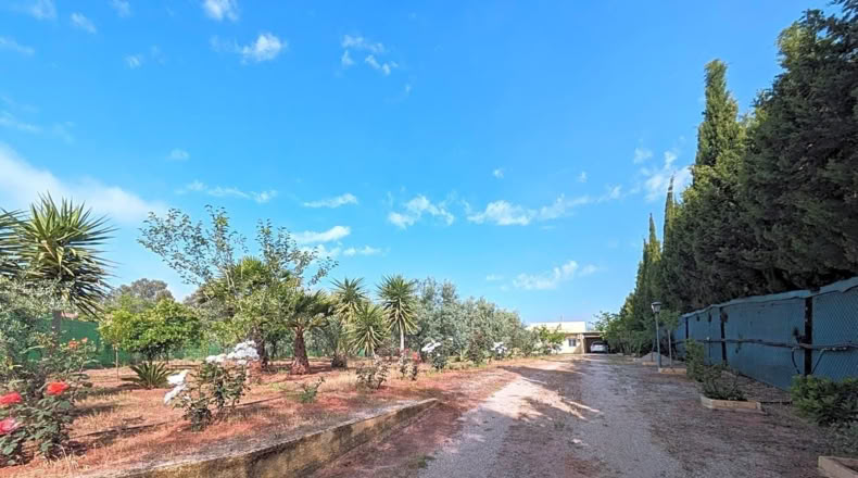 Jaén - Linares - 1800m2