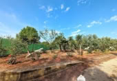 Casa de camp amb terreny en venda a la España, Linares, ref.: TR105981 foto