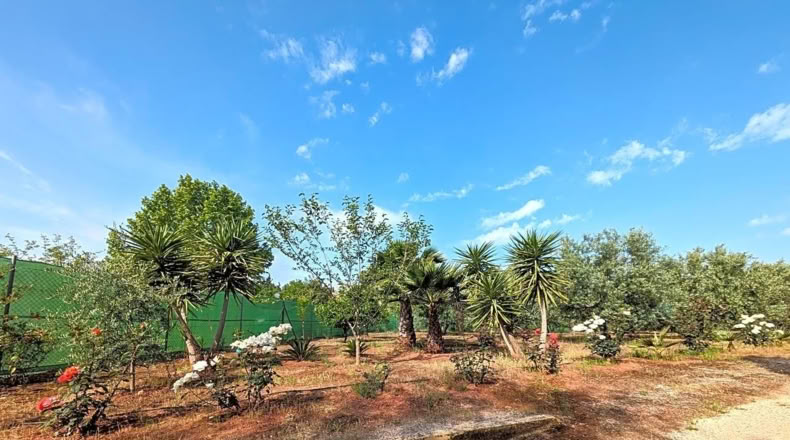 Jaén - Linares - 1800m2