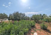 Casa de camp amb terreny en venda a la España, Linares, ref.: TR105981 foto