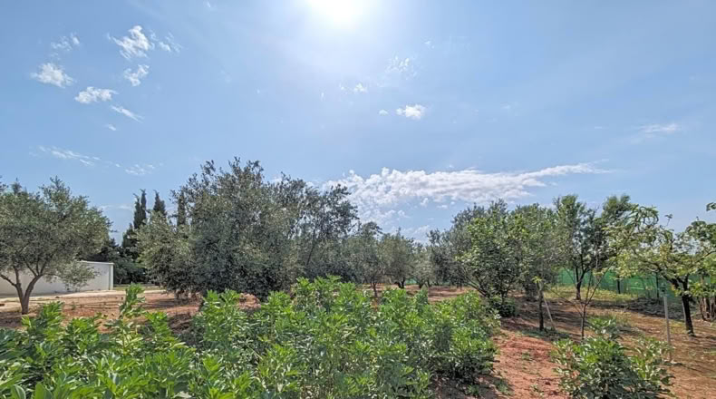Jaén - Linares - 1800m2