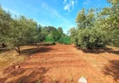 Casa de camp amb terreny en venda a la España, Linares, ref.: TR105981 foto