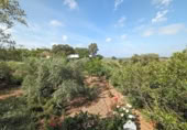 Casa de camp amb terreny en venda a la España, Linares, ref.: TR105981 foto