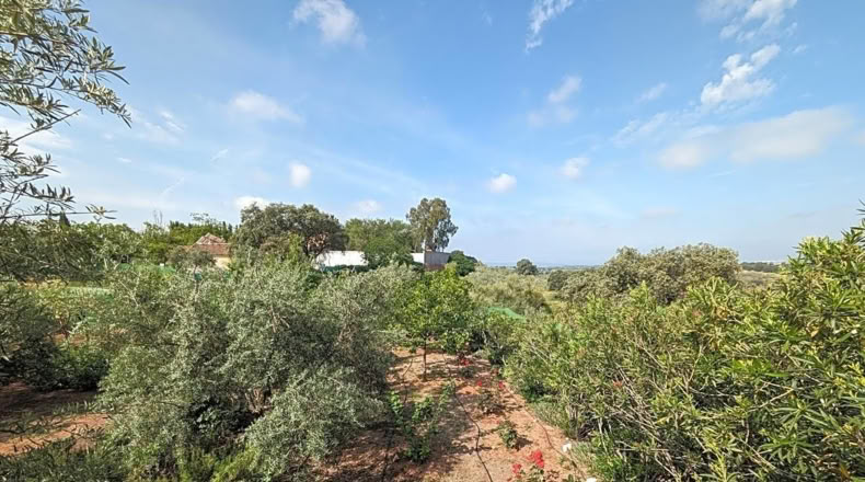 Jaén - Linares - 1800m2