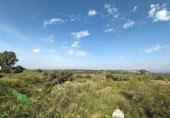 Casa de camp amb terreny en venda a la España, Linares, ref.: TR105981 foto