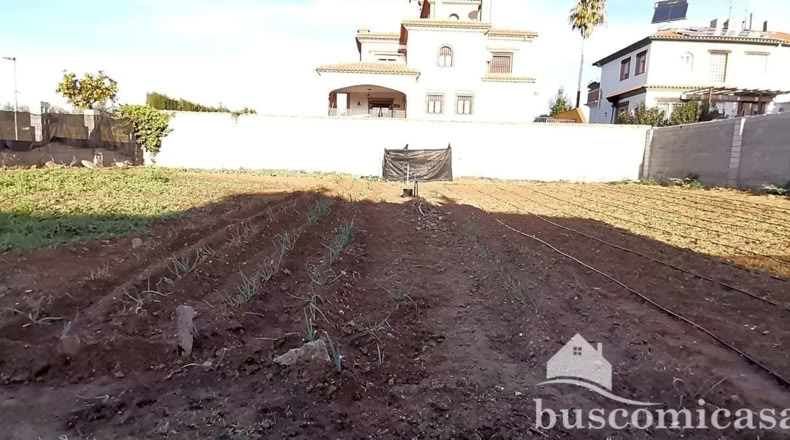 Jaén - Linares - 670m2