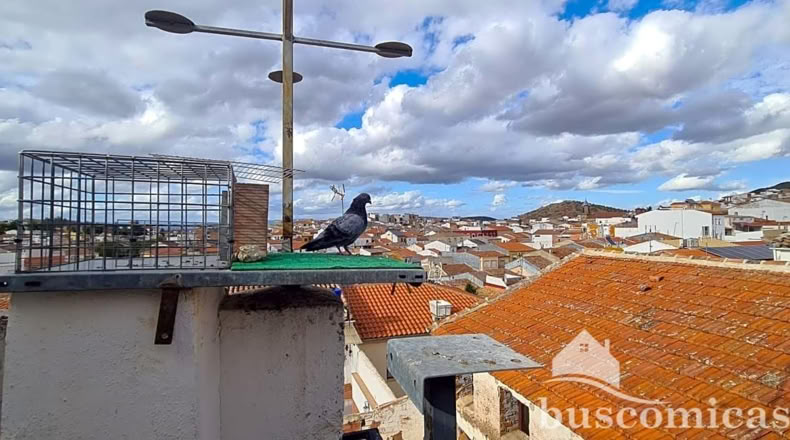 Jaén - Navas de San Juan - 128m2