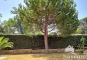 Vil·la amb terreny en venda a la España, Linares, ref.: TR76077 foto