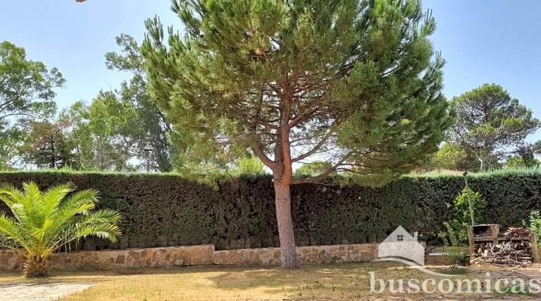 Jaén - Linares - 1008m2