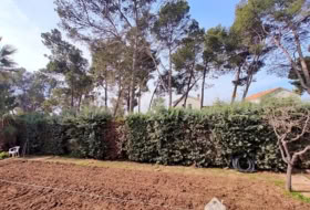 Foto 15
