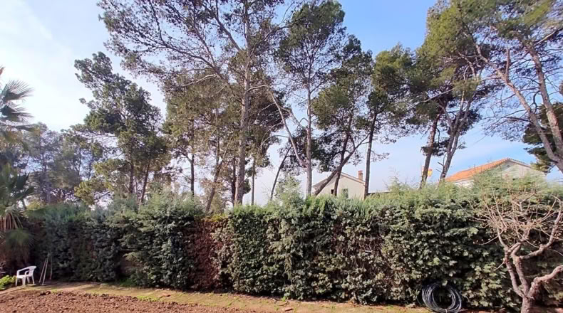 Jaén - Linares - 2010m2