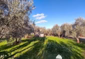 Vil·la amb terreny en venda a la España, Linares, ref.: TR210741 foto