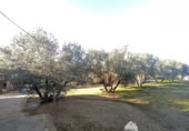 Vil·la amb terreny en venda a la España, Linares, ref.: TR210741 foto
