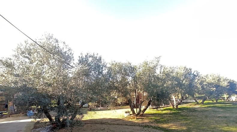Jaén - Linares - 4000m2