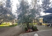 Vil·la amb terreny en venda a la España, Linares, ref.: TR210741 foto