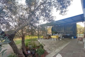 Foto 15