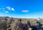 Vil·la amb terreny en venda a la España, Linares, ref.: TR210741 foto