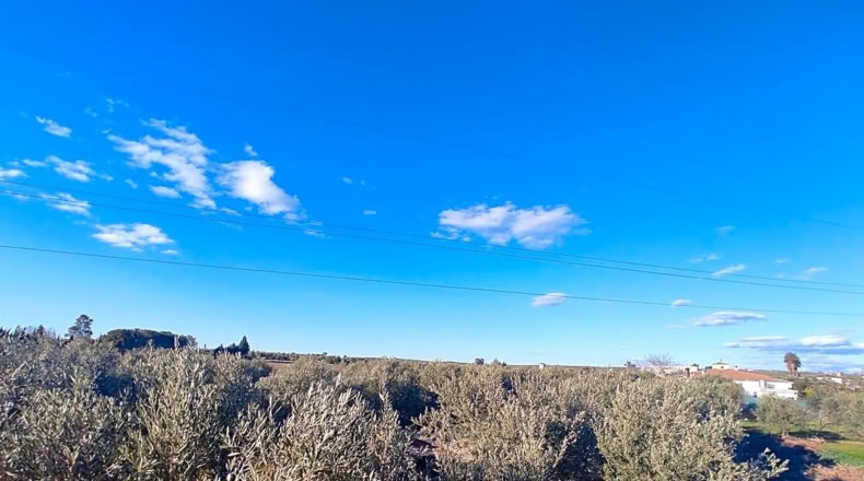 Jaén - Linares - 4000m2
