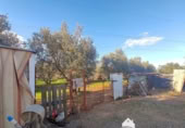 Vil·la amb terreny en venda a la España, Linares, ref.: TR210741 foto