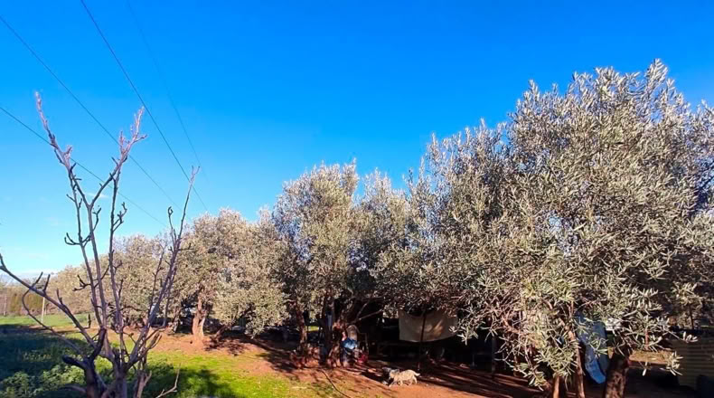 Jaén - Linares - 4000m2
