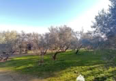 Vil·la amb terreny en venda a la España, Linares, ref.: TR210741 foto