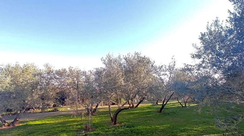 Jaén - Linares - 4000m2