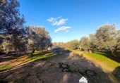 Vil·la amb terreny en venda a la España, Linares, ref.: TR210741 foto