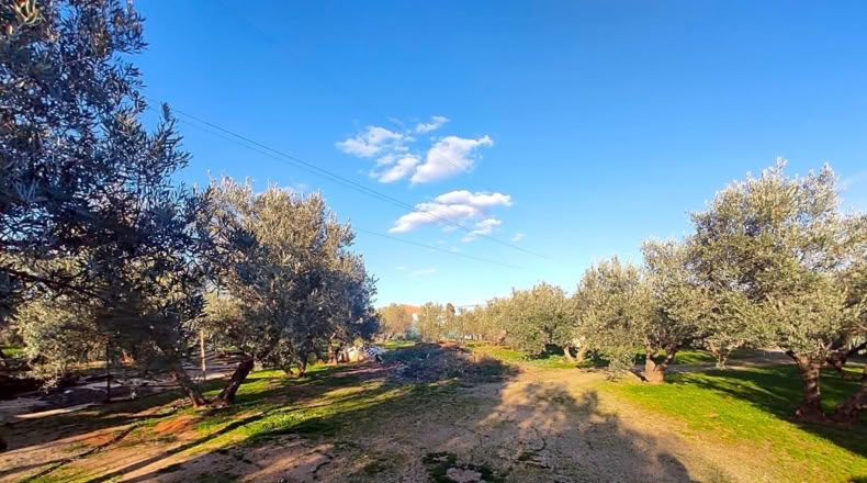 Jaén - Linares - 4000m2