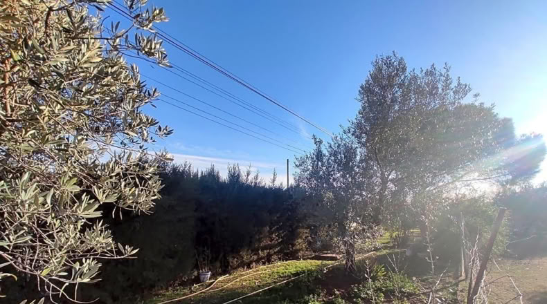 Jaén - Linares - 4000m2